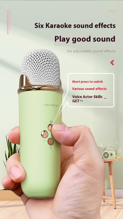 Portable Bluetooth Karaoke System